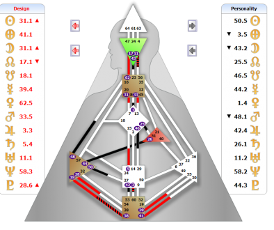 人类图能让你知道什麼?